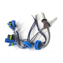 CrazyTheGod H1 Faster HID XENON Bulb 5500K